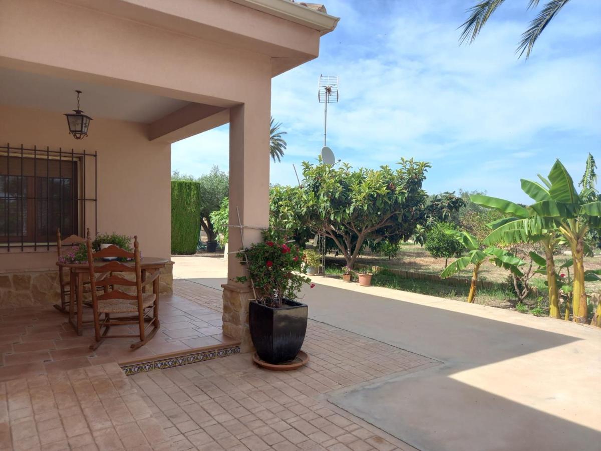 Casa Joan Villa Elche Dış mekan fotoğraf