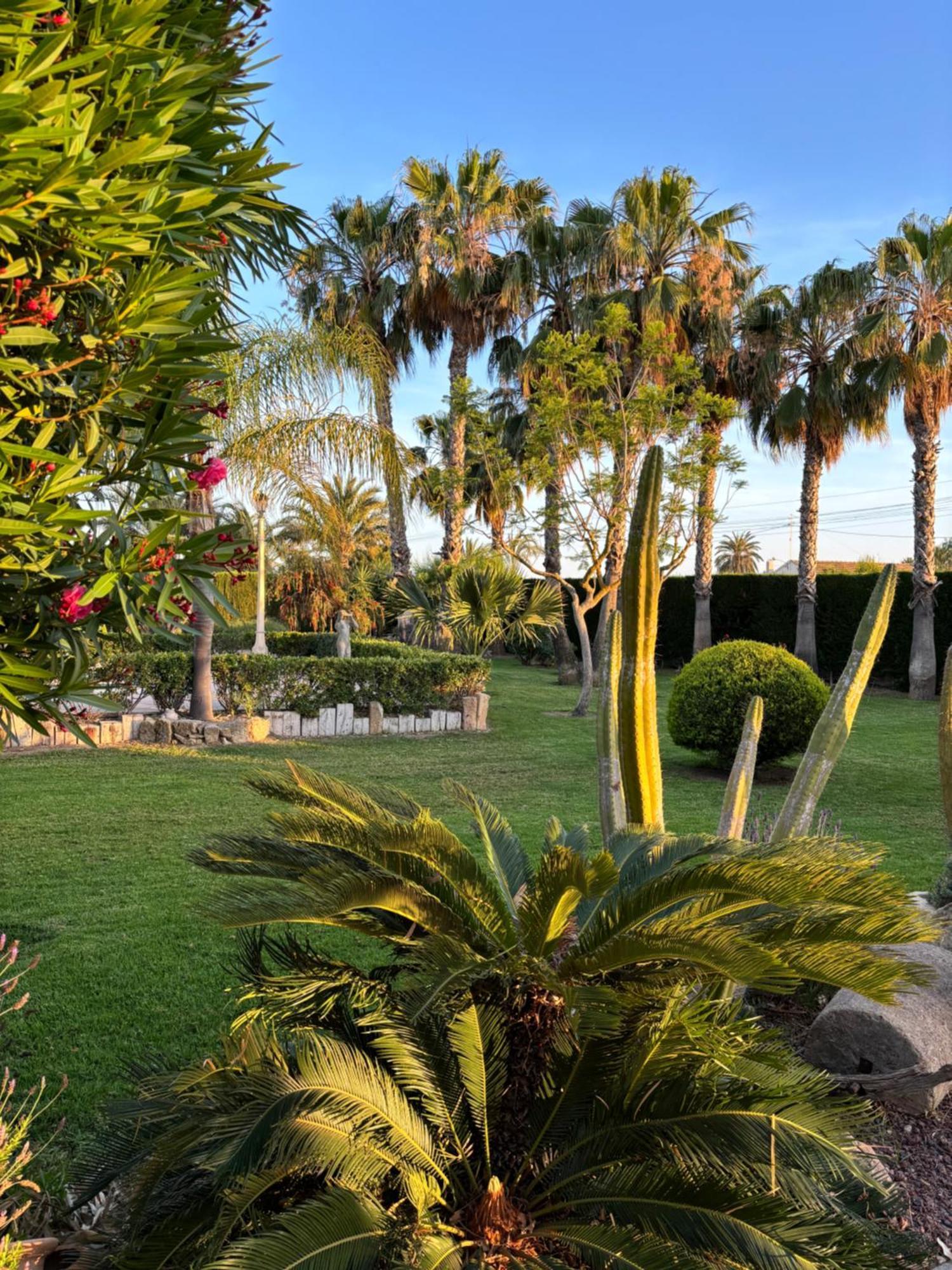 Casa Joan Villa Elche Dış mekan fotoğraf