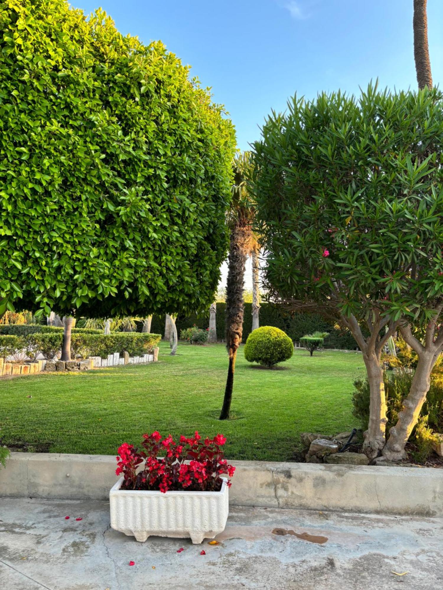 Casa Joan Villa Elche Dış mekan fotoğraf