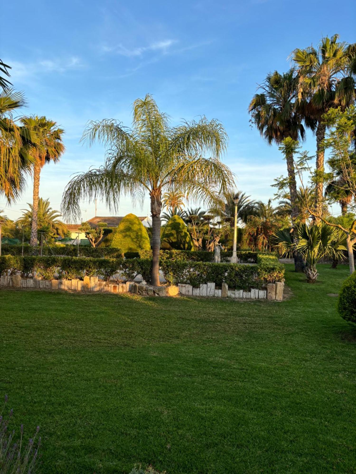 Casa Joan Villa Elche Dış mekan fotoğraf