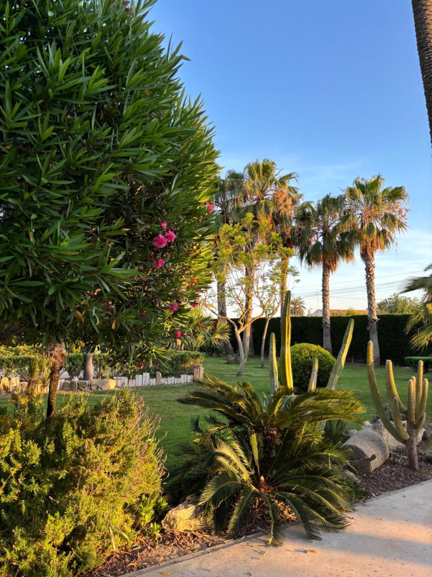 Casa Joan Villa Elche Dış mekan fotoğraf