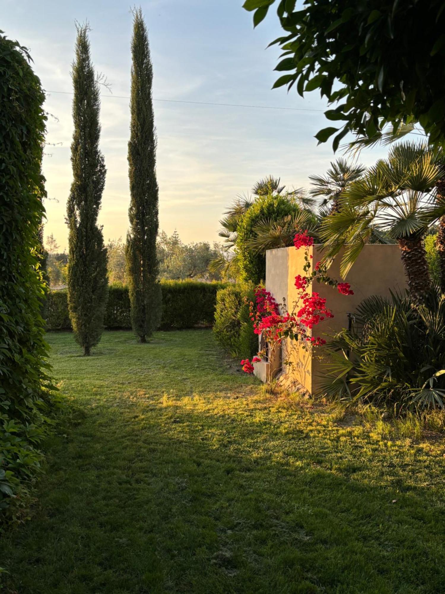 Casa Joan Villa Elche Dış mekan fotoğraf