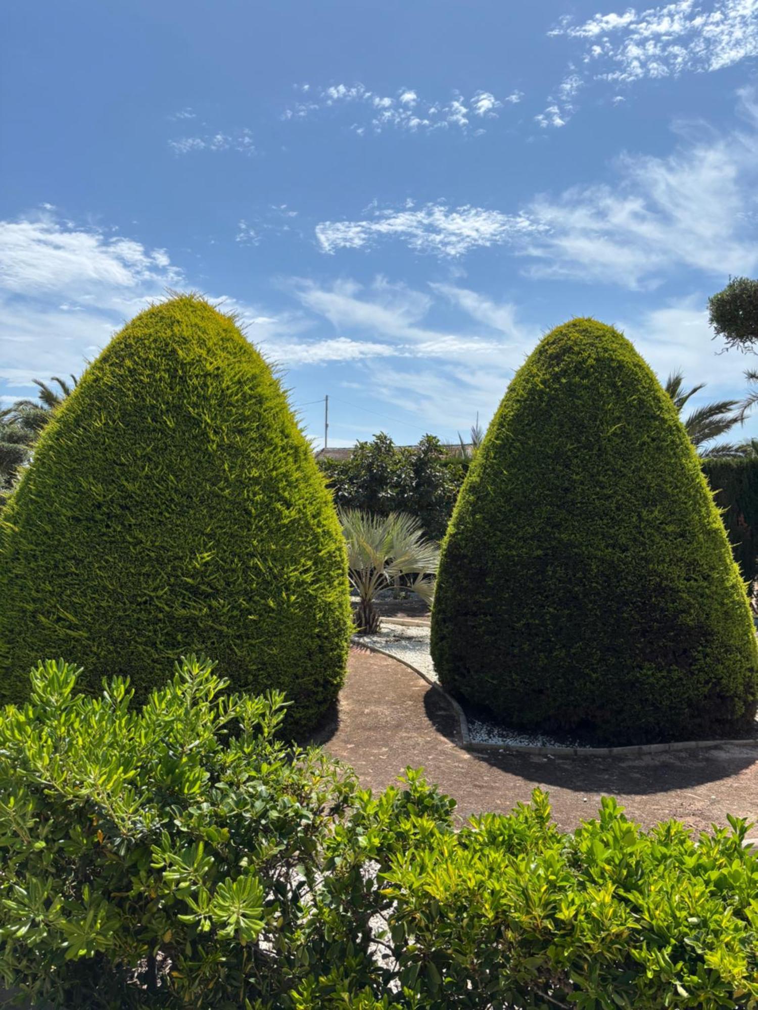 Casa Joan Villa Elche Dış mekan fotoğraf