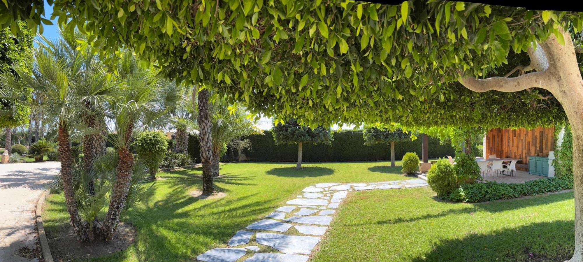 Casa Joan Villa Elche Dış mekan fotoğraf